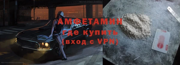 крисы Горняк