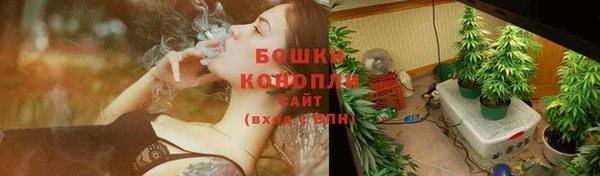 крисы Горняк