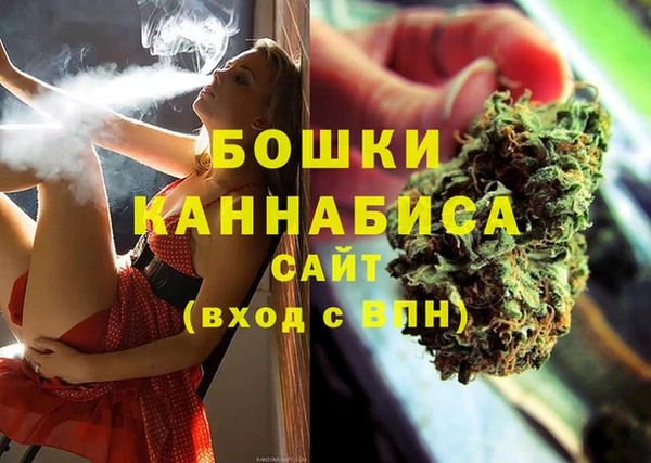 крисы Горняк