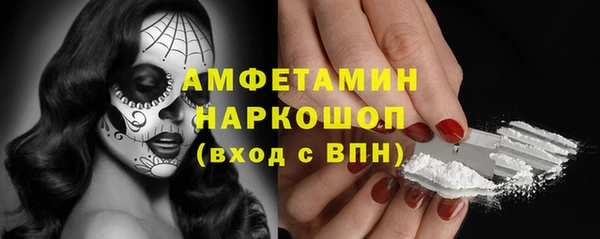 ГАЛЛЮЦИНОГЕННЫЕ ГРИБЫ Вяземский