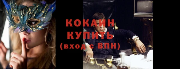 ГАЛЛЮЦИНОГЕННЫЕ ГРИБЫ Вяземский