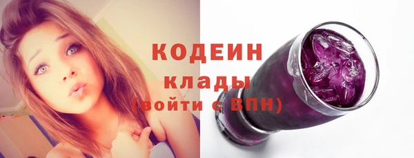 ГАЛЛЮЦИНОГЕННЫЕ ГРИБЫ Вяземский