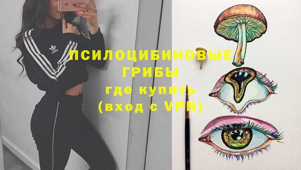 ГАЛЛЮЦИНОГЕННЫЕ ГРИБЫ Вяземский