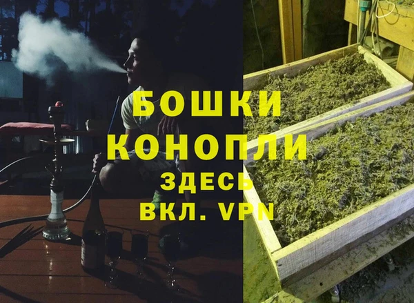 гидропоника Горнозаводск