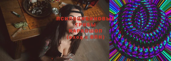 гидропоника Горнозаводск