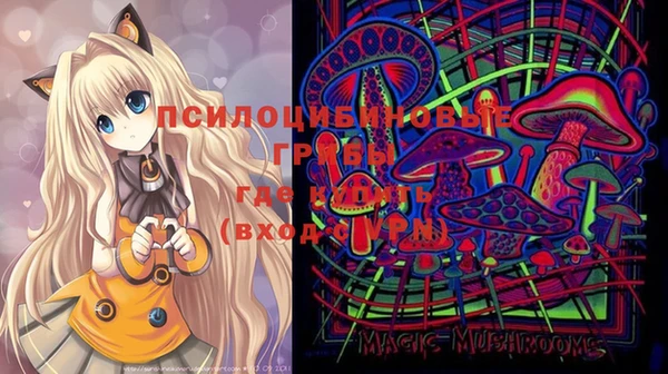 ECSTASY Вязьма